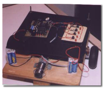 Picture of Rover